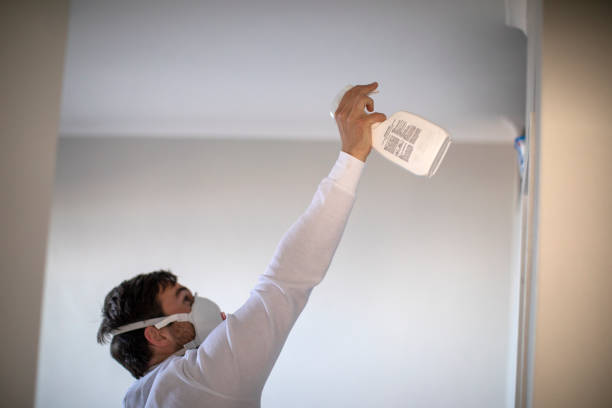 Best Best Mold Removal Companies  in Bladensburg, MD