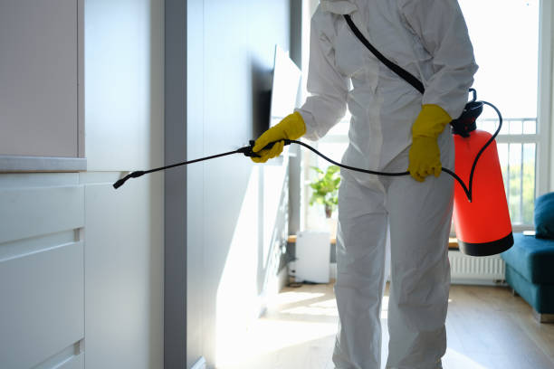 Best Office Mold Removal Services  in Bladensburg, MD