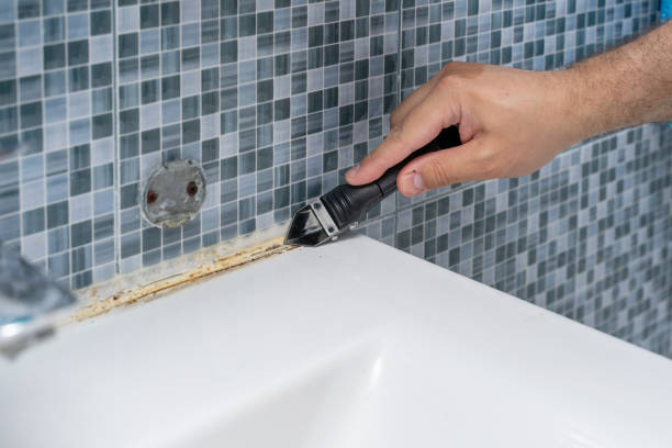 Best Mold Testing  in Bladensburg, MD